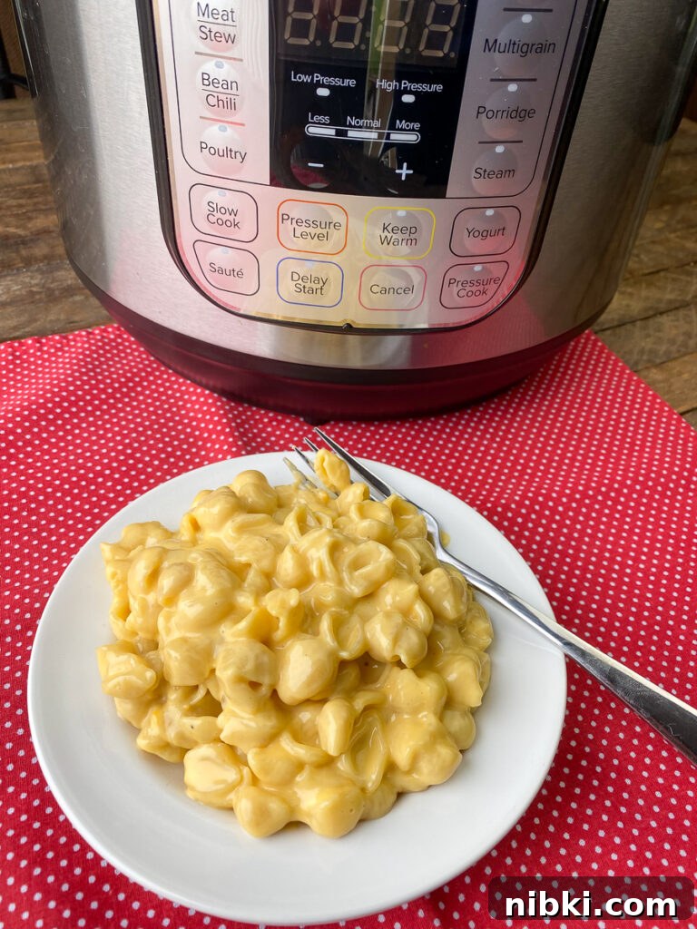 Creamy Instant Pot Mac and Cheese with Velveeta 4 Plate of the best instant pot mac and cheese in front of a pressure cooker
