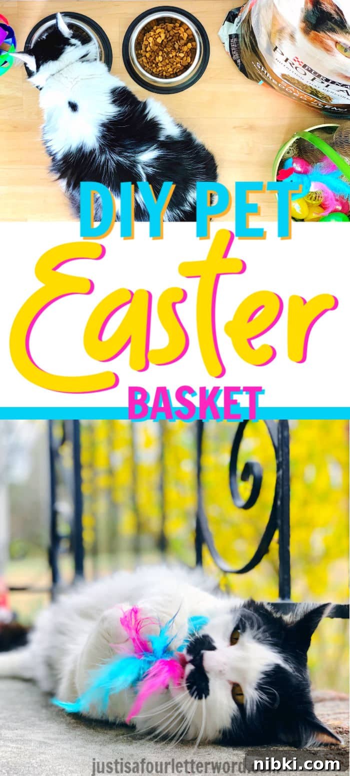 Don't forget about the pets this Easter! Whether you are transitioning to a new cat food or refilling your pantry, throw a few toys in a pet Easter basket! DIY Pet Easter Basket