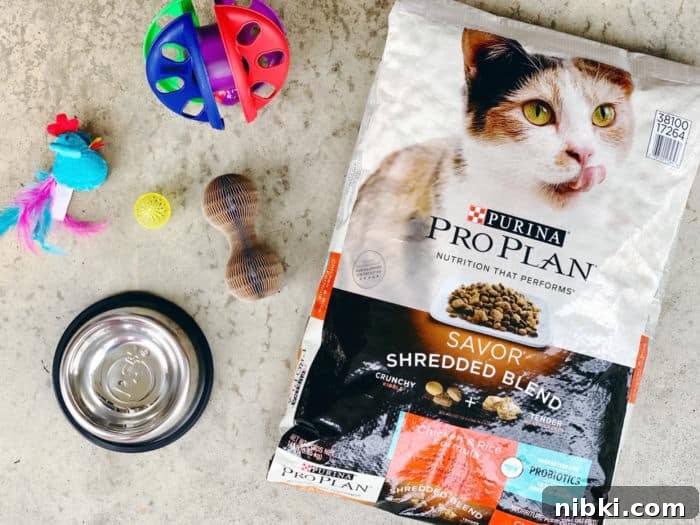 DIY Easter Basket Ideas for Pets 3 Easter Basket Supplies