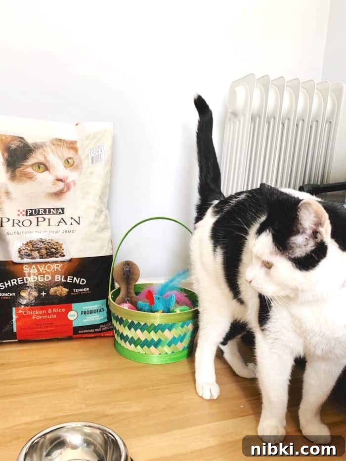 DIY Easter Basket Ideas for Pets 4 Brick with basket