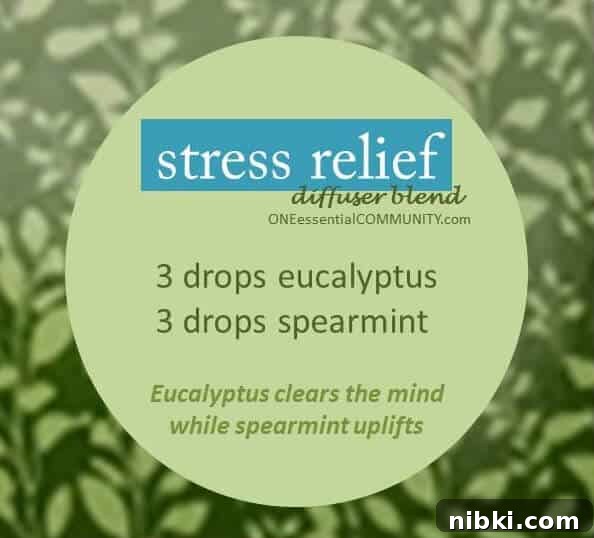 7 Aromatherapy Diffuser Blends for Stress Relief 3 Have frayed nerves? Need to chill out? Find your zen? Try these calming essential oil diffuser blends to beat stress