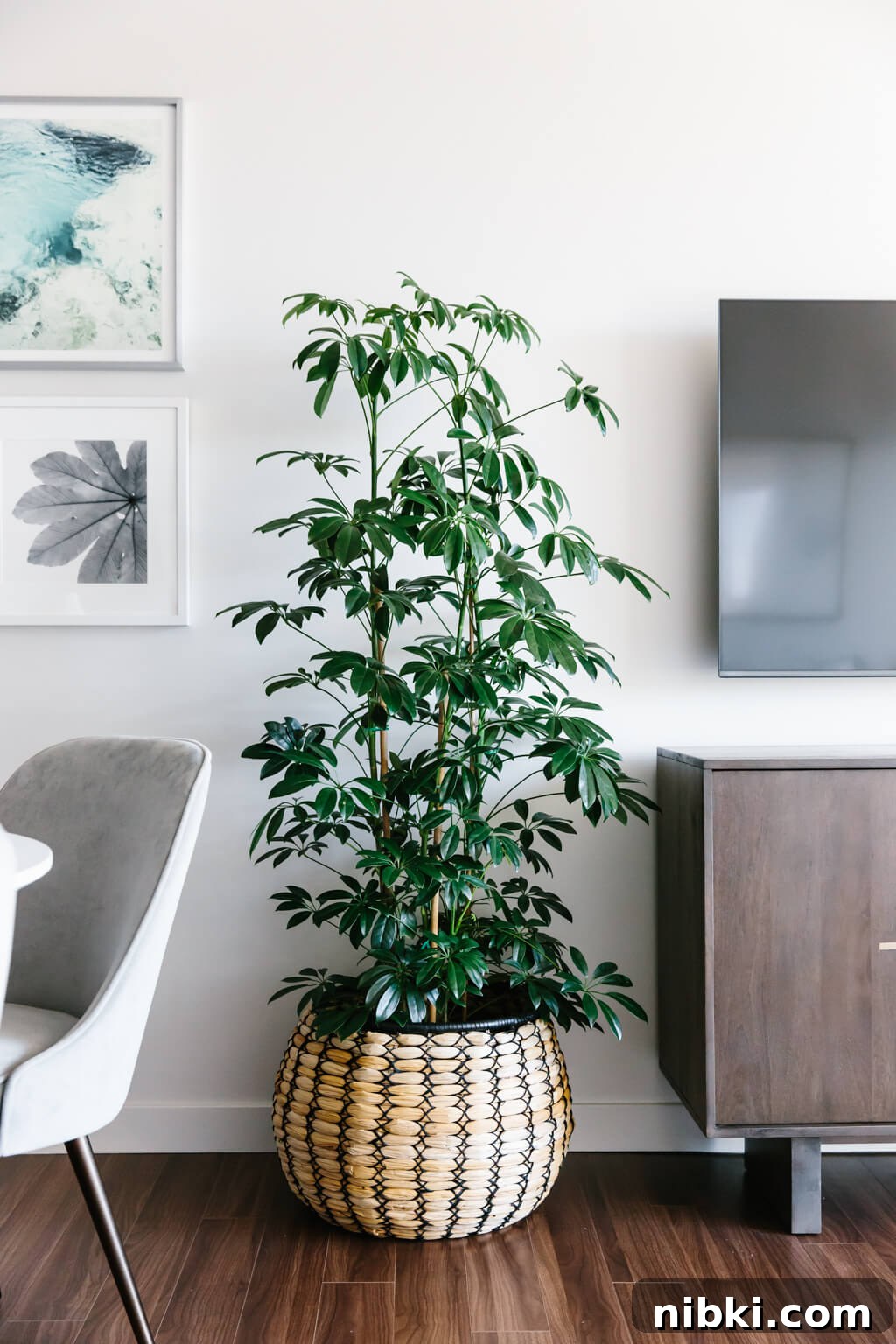 Modern Minimalist Living Room Makeover with Havenly 9 Take a tour of my modern and minimalist living room. My interior design style is a blend of minimalism, mid-century modern, Scandinavian and SoCal vibes.