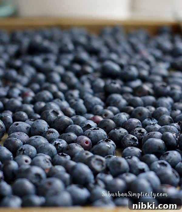Blueberries for BlueBerry Cobbler