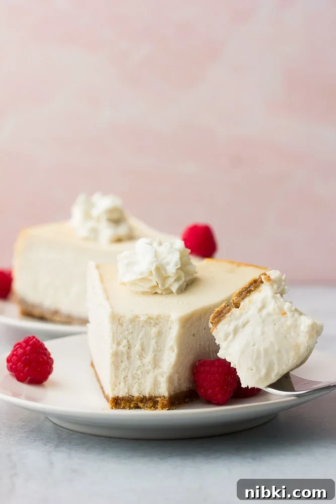 How to Make a Creamy Vegan Cheesecake 2 texture of a bite taken out of vegan cheesecake