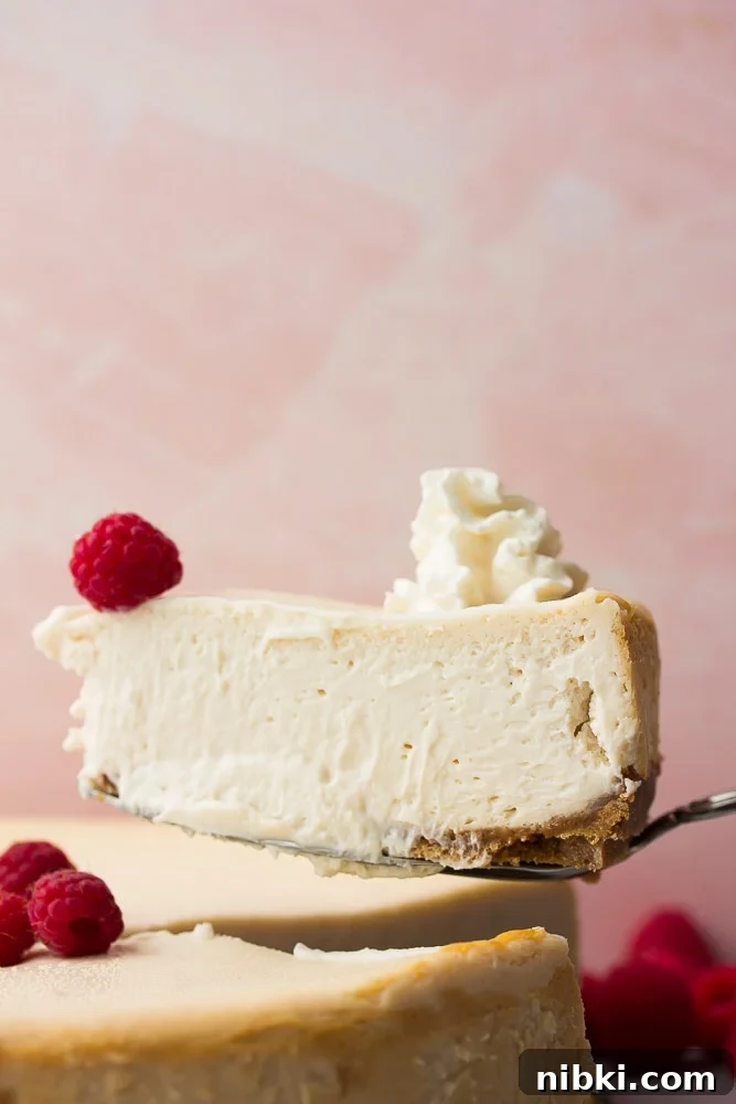 How to Make a Creamy Vegan Cheesecake 3 slice of cheesecake, pink background, on serving spatula