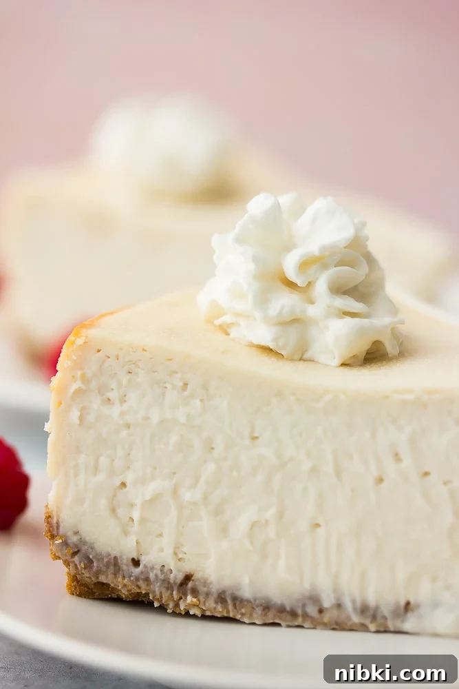 How to Make a Creamy Vegan Cheesecake 8 close up of piece of cheesecake with whipped cream