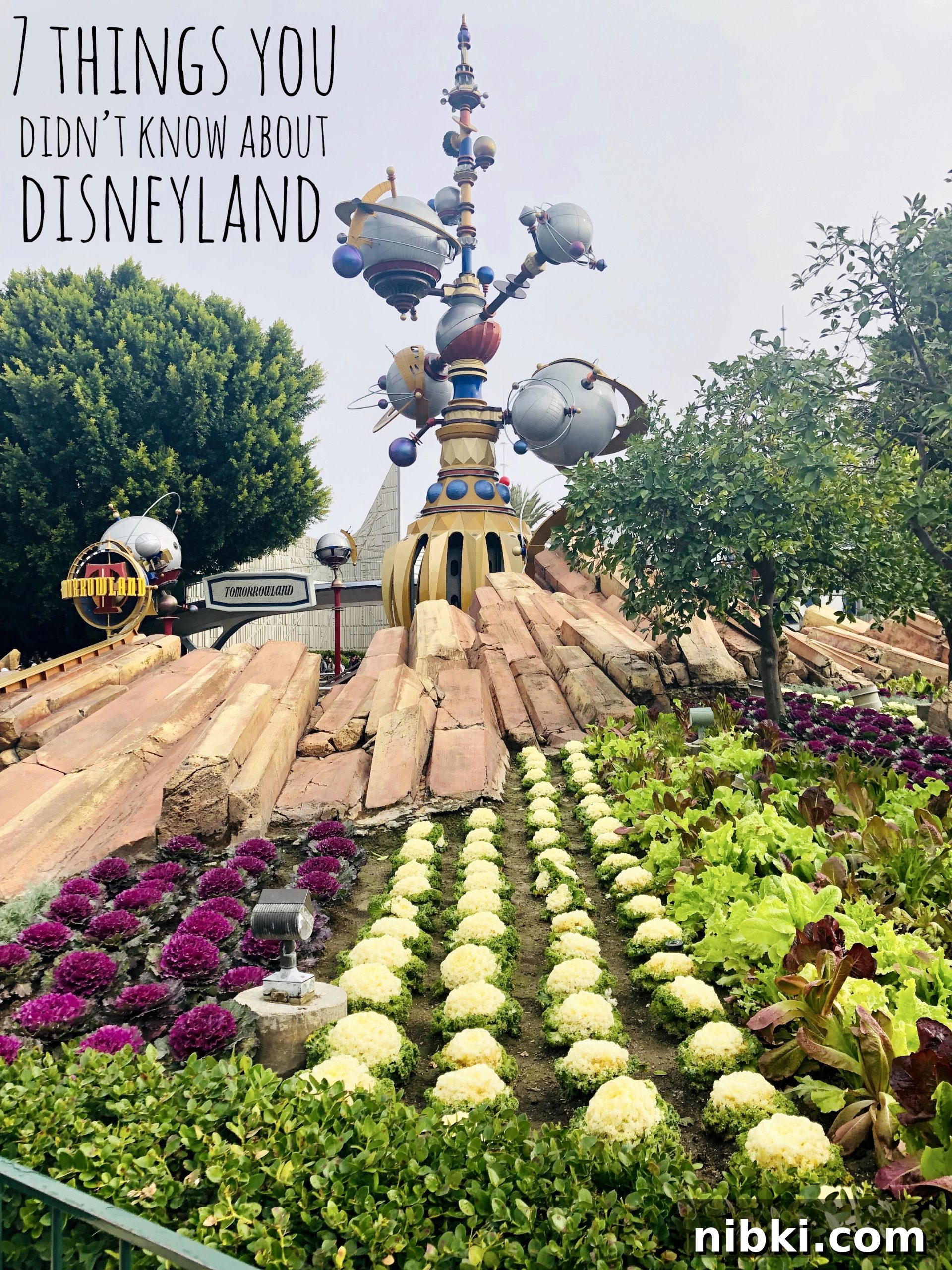 7 Disneyland Secrets You Never Knew 2 7 Things you didn't know about Disneyland