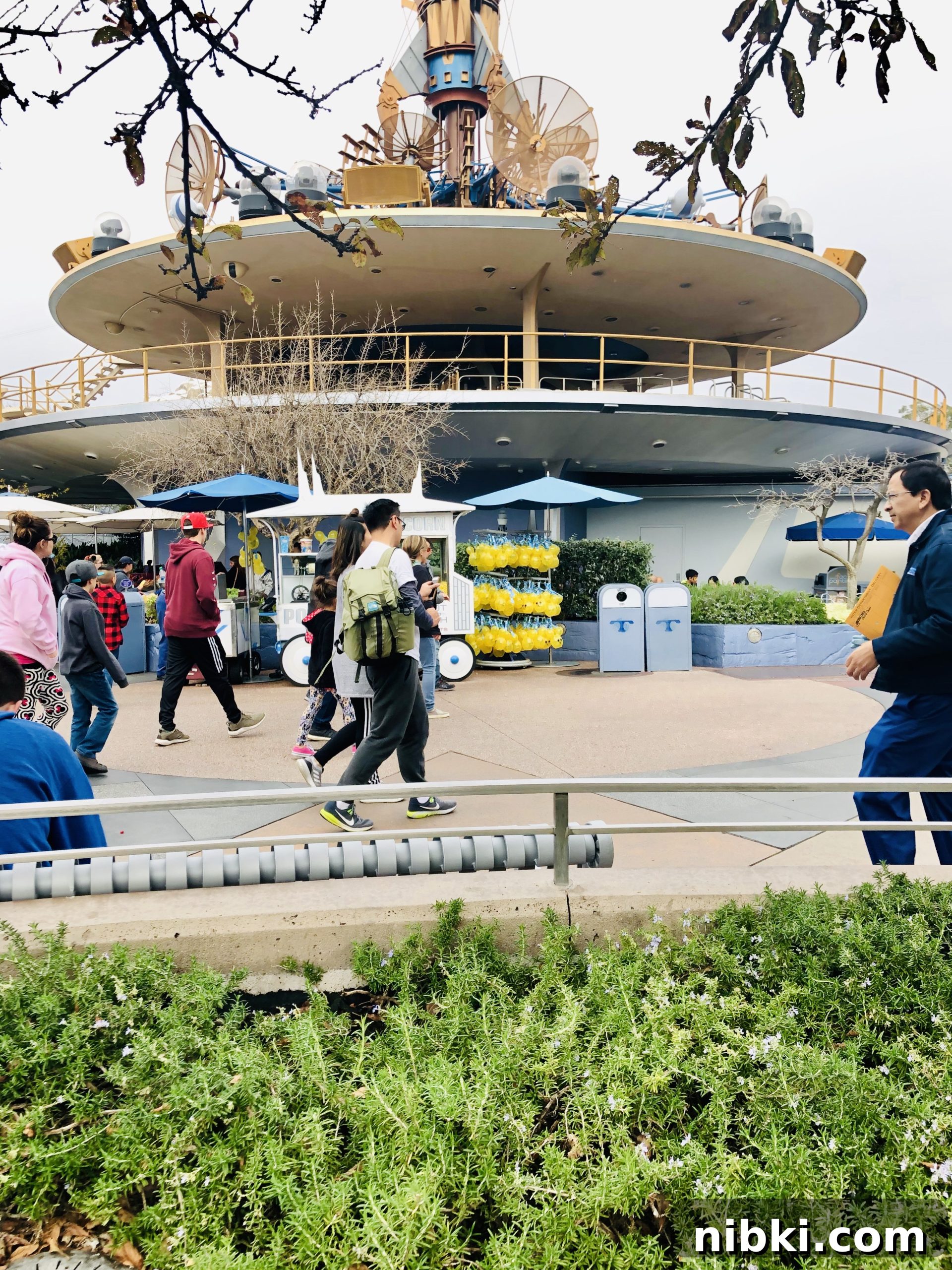 7 Disneyland Secrets You Never Knew 11 Rosemary plant; 5 Secrets of TOMORROWLAND