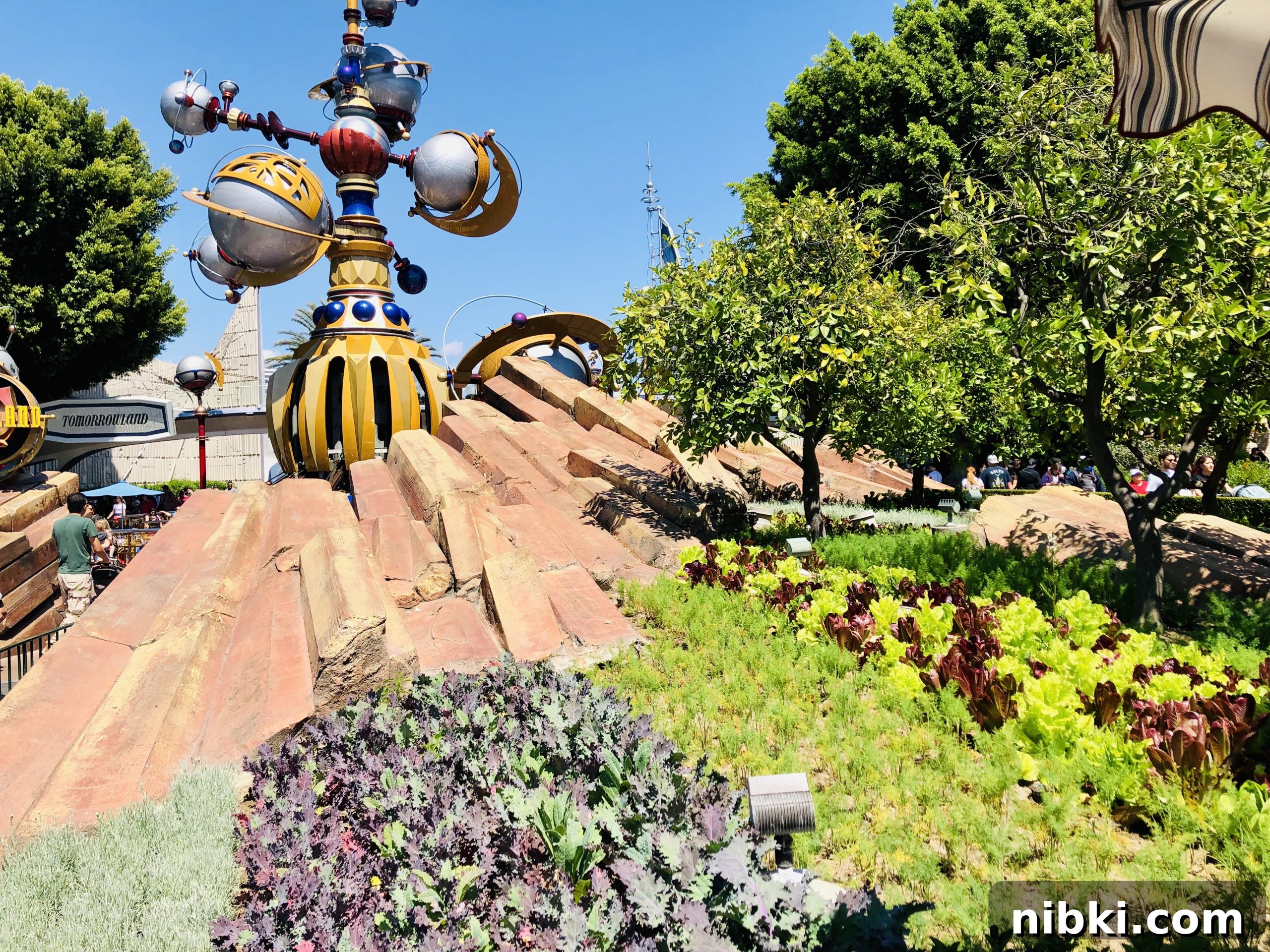 7 Disneyland Secrets You Never Knew 12 Discovering 5 Secrets of Tomorrowland; edible plants