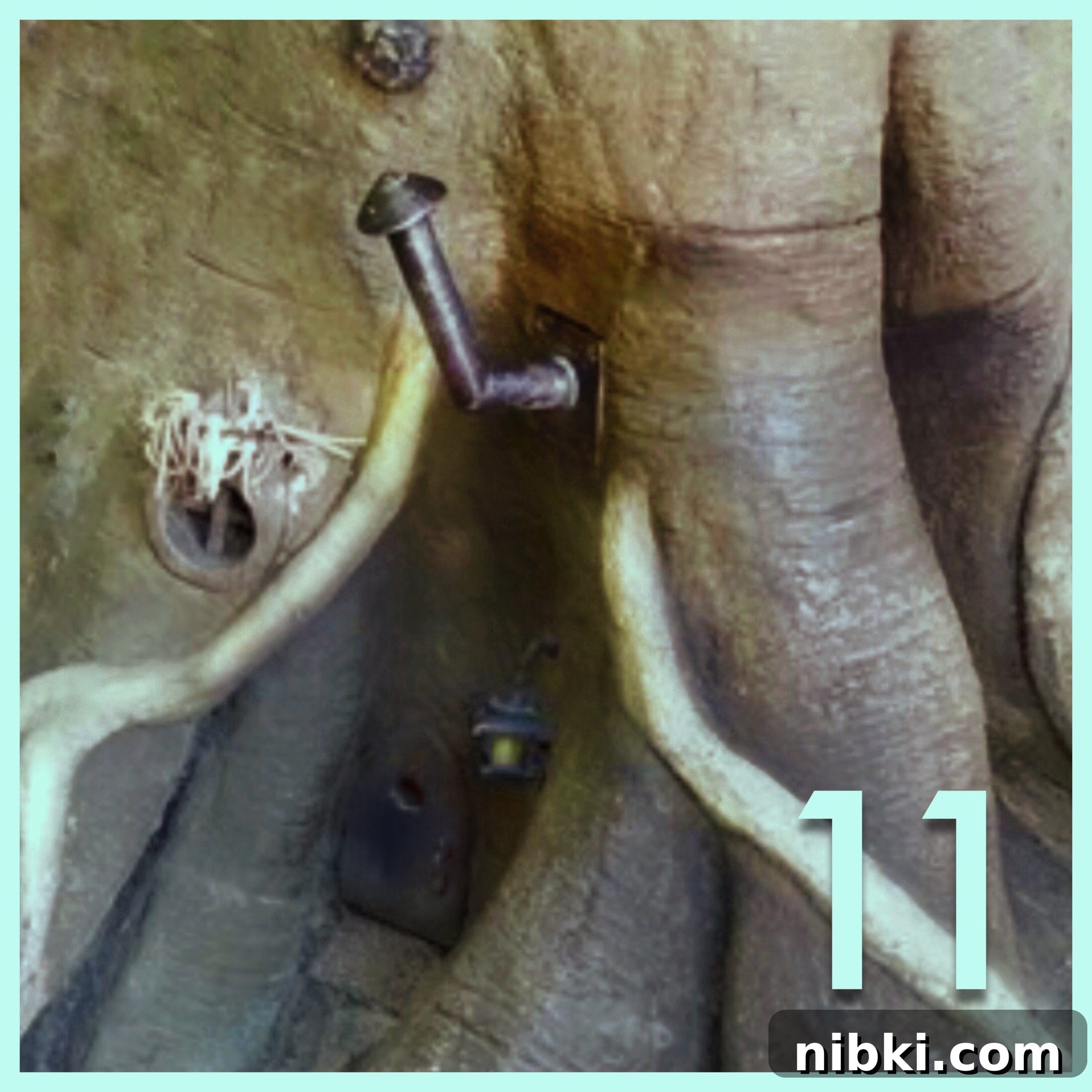 7 Disneyland Secrets You Never Knew 16 Tree Trunk with small house in Disneyland