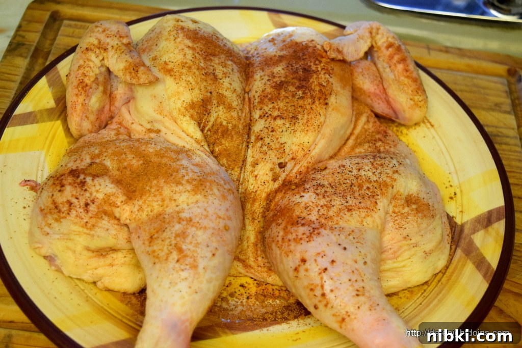 Caribbean Spice Chicken, wood pellet, grill, BBQ, smoker, recipe 