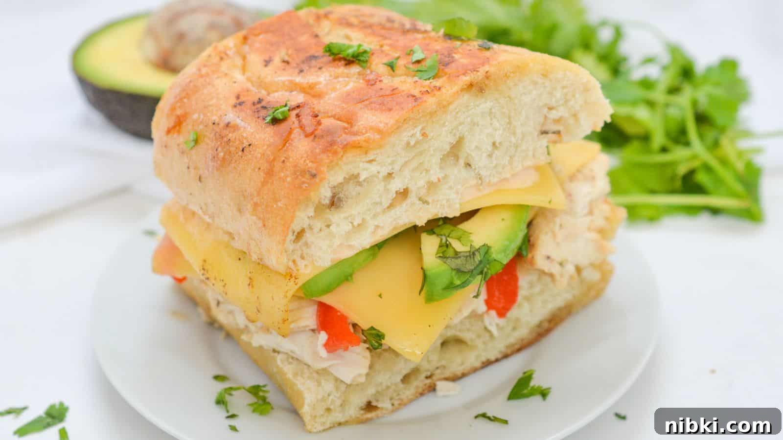17 Affordable Chicken Recipes That Stretch Your Grocery Budget 5 A chicken and cheese sandwich with avocado on a white plate.