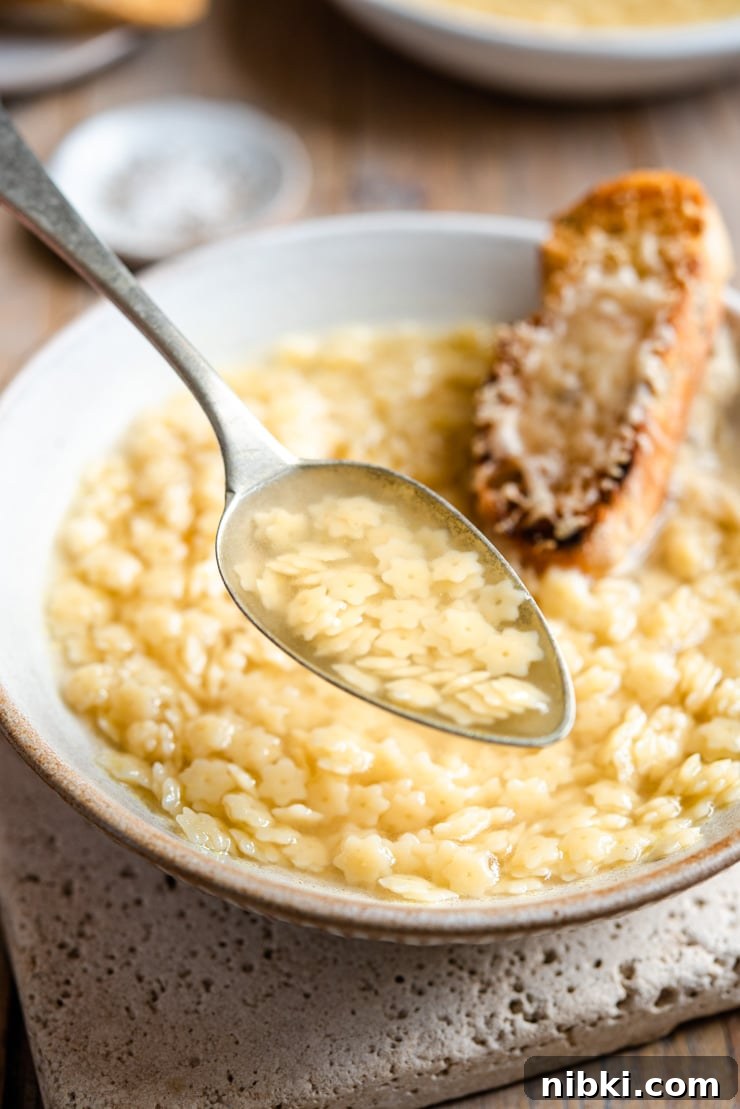 A close up of a spoonful of pastina soup A close up of a spoonful of pastina soup