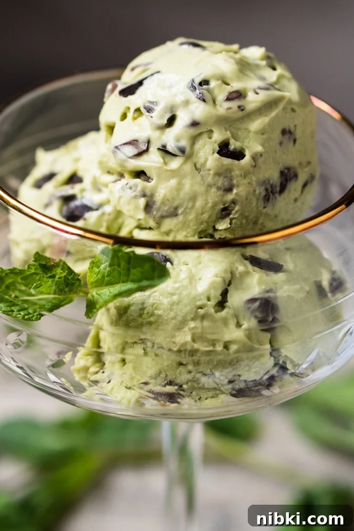 No-Churn Keto Mint Chocolate Chip Ice Cream - Gluten-Free Paleo 2 Three scoops of keto mint chocolate chip ice cream