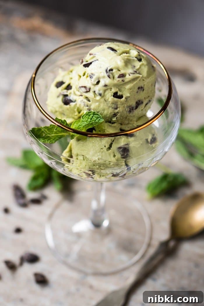 No-Churn Keto Mint Chocolate Chip Ice Cream - Gluten-Free Paleo 3 Low Carb, Paleo & Keto Mint Chocolate Chip Ice Cream-For-1 🍦 #keto #lowcarb #dairyfree #paleo #healthyrecipes #icecream #ketodessert #nicecream