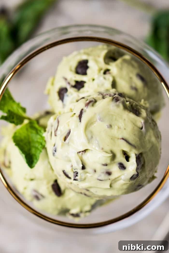 No-Churn Keto Mint Chocolate Chip Ice Cream - Gluten-Free Paleo 4 Low Carb, Paleo & Keto Mint Chocolate Chip Ice Cream-For-1 🍦 #keto #lowcarb #dairyfree #paleo #healthyrecipes #icecream #ketodessert #nicecream