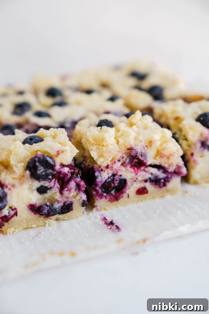 Blueberry Pie Bars with Buttery Shortbread Crust 6 Blueberry pie bars close up
