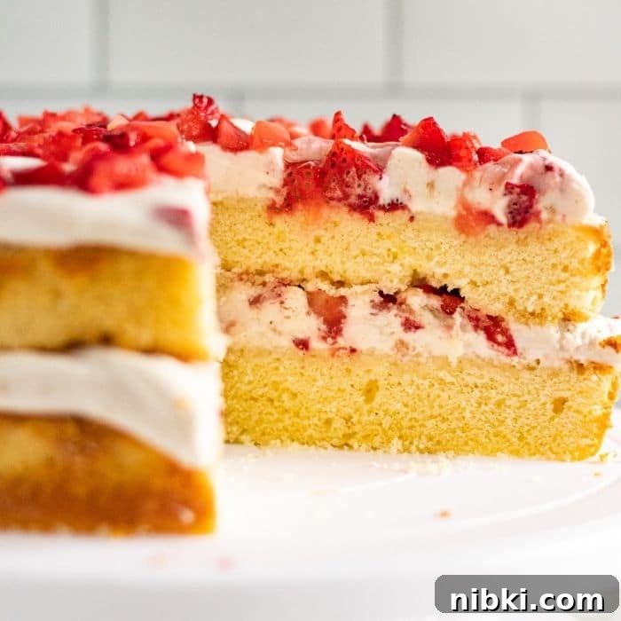 layered cake with slice out