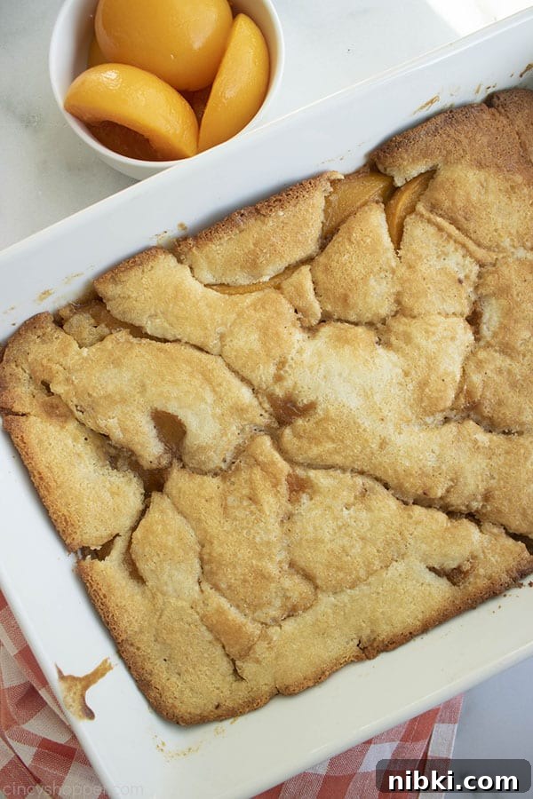 Peach Cobbler Recipe with Golden Biscuit Topping 2 Fresh Baked Easy Peach Cobbler in a white baking dish.