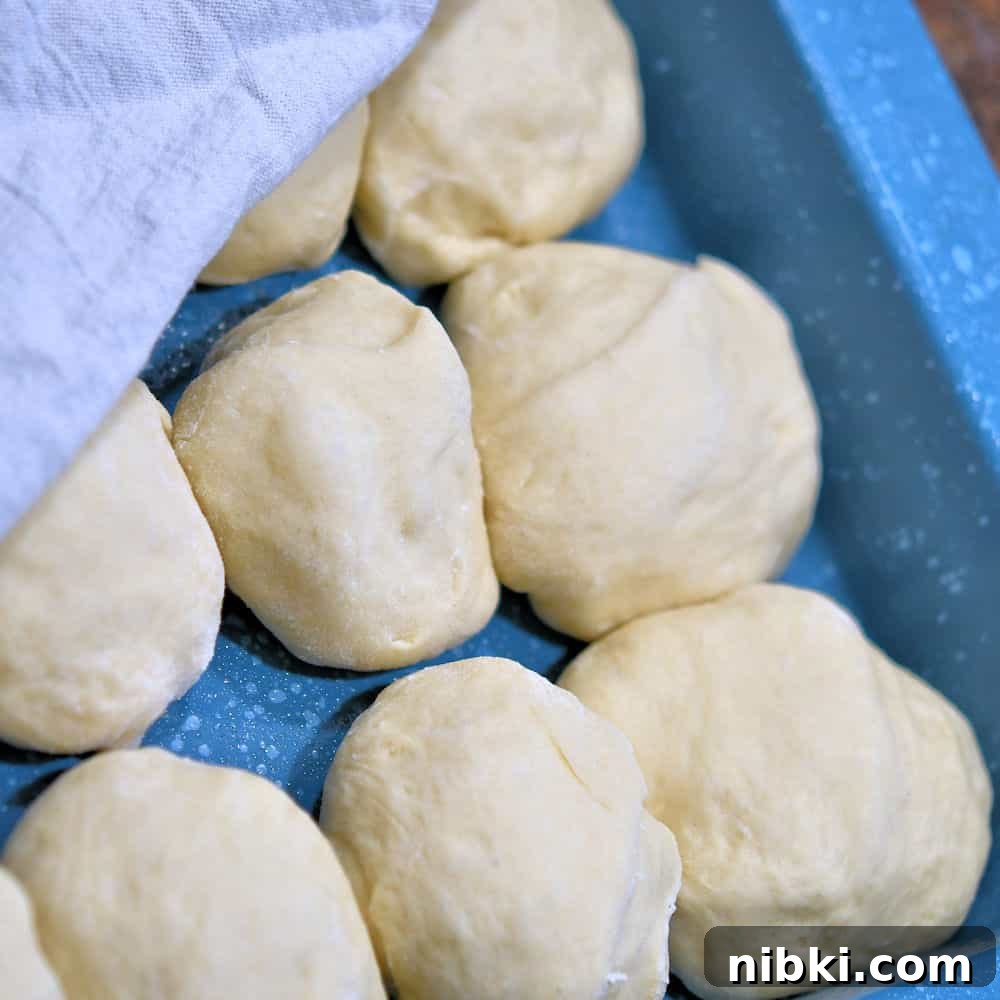 Potato Dinner Rolls: Bread Machine, Hand, or Mixer 7 unrisen dough balls in a baking pan