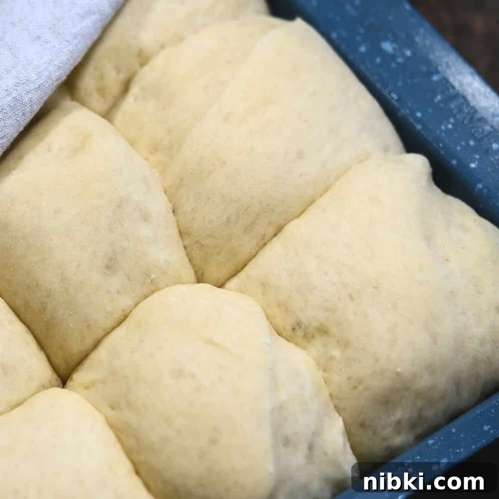 Potato Dinner Rolls: Bread Machine, Hand, or Mixer 8 dough balls in a baking pan now risen to double the size