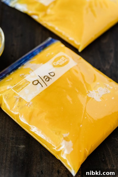 Pumpkin puree ready to freeze