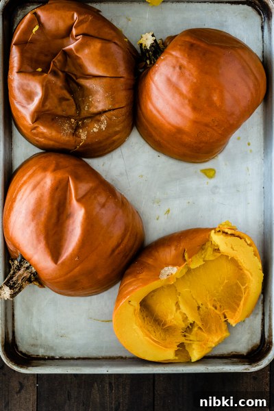Roasted pumpkin flesh scooped for pureeing