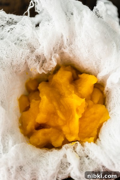 Thickened pumpkin puree in a bowl