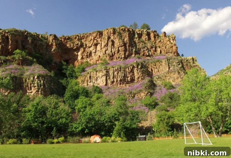 The open park area of Lavern M Johnson Park in Lyons, Colorado.