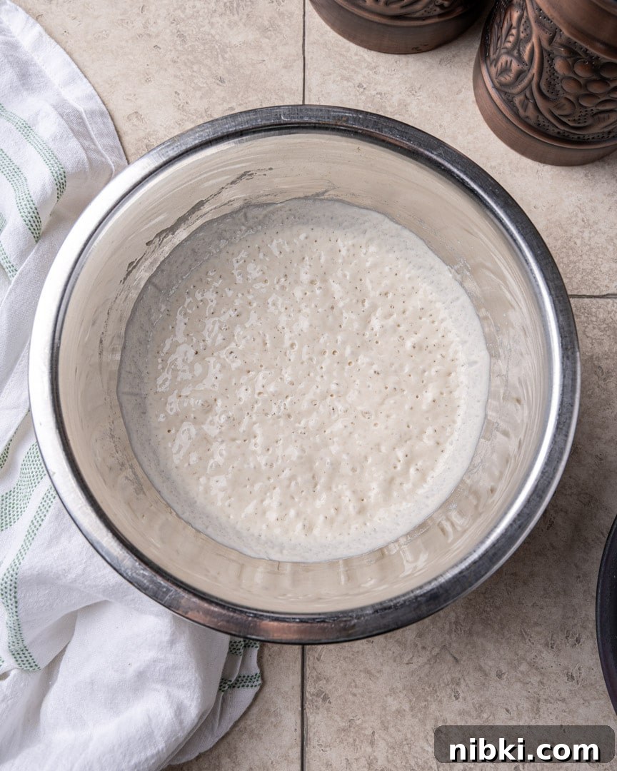 Authentic Neapolitan Pizza Dough Recipe for Perfect Crust 3 Poolish after 10-15 hours