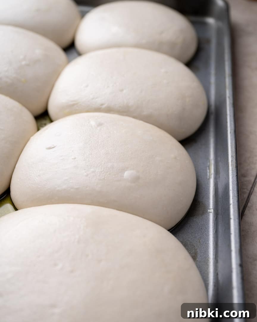 Authentic Neapolitan Pizza Dough Recipe for Perfect Crust 4 Pizza dough balls after cold proofing