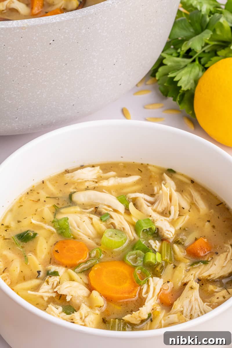 Quick Soup Recipes for Weeknight Meals 9 img 99451 9